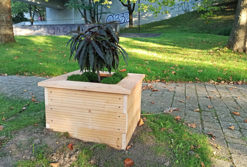 Kübelprojekt Potentialtopf