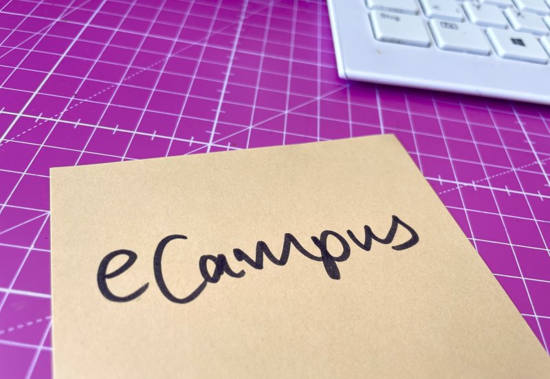 eCampus neu